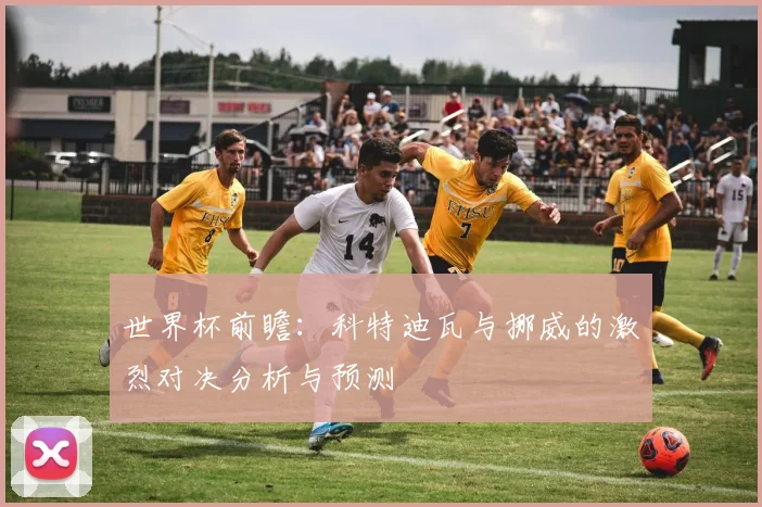 世界杯前瞻：科特迪瓦与挪威的激烈对决分析与预测